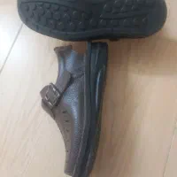 کفش|کیف، کفش، کمربند|زنجان, |دیوار