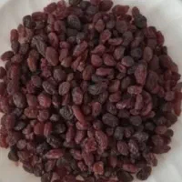 کشمش و شیره انگور درجه یک مرغوب مخصوص آبگیری