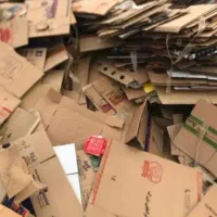 رانی کارتون