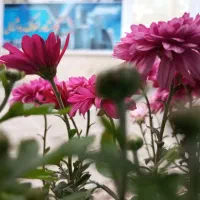 ملک-کلنگی-در-بلوار-اسرافیلیان