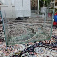 آکواریوم نو