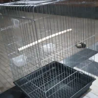 قفس بزرگ ۱۰۳۲ بزرگ سقف باز شو|لوازم جانبی حیوانات|قرچک, باقرآباد|دیوار