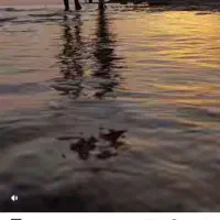 وام فرزند آوری آماده ب ضامن