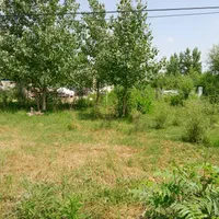 فروش زمین250متری در ماسال شاندرمن زیبا نزدیک شهر|فروش زمین و ملک کلنگی|ماسال, |دیوار