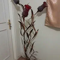 آباژور سالم
