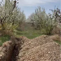 زمین-کمالشهر