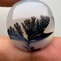 دلبر و بی همتا