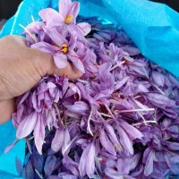 گل زعفران|خوردنی و آشامیدنی|نیمبلوک, |دیوار