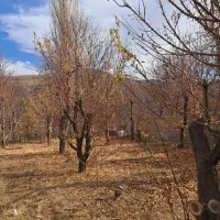 فروش-باغ-300-متری-بر-جاده-اصلی-کرمجگان