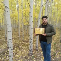 صنوبر کرمانشاه، مناسب کشاورزی و پروژههای صنعتی