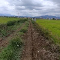 دو قطعه زمین کشاورزی