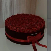 گل رز|گل و گیاه طبیعی|بجنورد, |دیوار