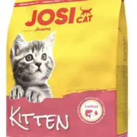 جوسرا جوسی مینی ادولت بیف چیکن کیتن|لوازم جانبی حیوانات|تهران, جوادیه|دیوار