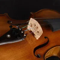 ویولن/- زـیبایی در هر نت