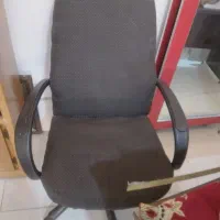 میز و صندلی و مرغ عشق و قالپاق|پرنده|مشهد, رستگار|دیوار