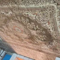 فرش 9 متری|فرش|بندر انزلی, کوی بهار|دیوار