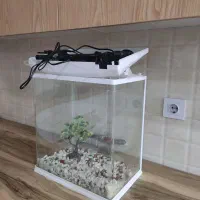 آکواریوم فروشی