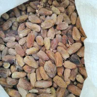 کنگه خشک زیر قیمت