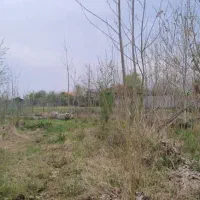 مشارکت ،سرمایه ازما،زمین هکتاری ازشما|مشارکت در ساخت املاک|اندیشه, شهرک مریم|دیوار