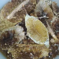 عسل زنبور ریز وحشی|خوردنی و آشامیدنی|اهواز, کیانشهر|دیوار