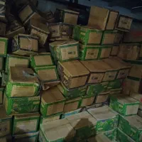 نوشمک / رنگارنگ|عمدهفروشی|تهران, دبستان|دیوار