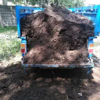 کود حیوانی