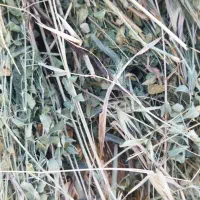 یونجه خروار