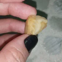 سنگ طبیعی|جواهرات|ری, سرتخت|دیوار