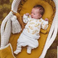 کریر تریکو|اسباب و اثاث بچه|خمینی‌شهر, |دیوار