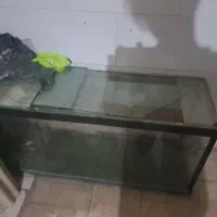 اکواریوم