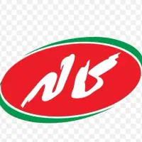 ویزیتور حضوری