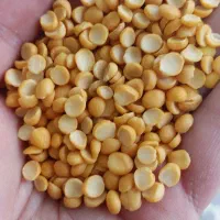 انواع حبوبات قیمت مناسب و عمده و خرده