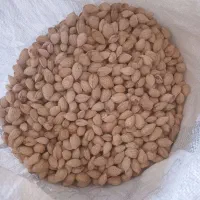 بادام فرانسوی حراج