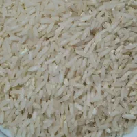 برنج درجه یک طارم هاشمی|خوردنی و آشامیدنی|تهران, طیب|دیوار
