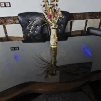 میز غذاخوری 8 نفره نو|میز و صندلی غذاخوری|خرمشهر, |دیوار