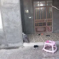 خانه-در-حد