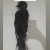 ۲۷۰ شاخه موی طبیعی تقریبا ۶۰ سانت