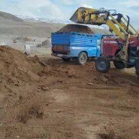 پهن پوسیده گوسفندی