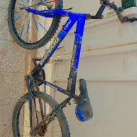 دوچرخه ۲۶ کوهستان|دوچرخه، اسکیت، اسکوتر|زهک, |دیوار