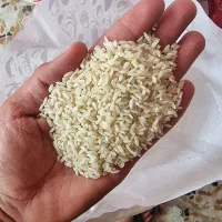 انواع مارک عنبربو محلی به شرط پخت و درجه یک|خوردنی و آشامیدنی|شوش, |دیوار