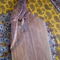 تزیینی تمام چوب طرح کاسکا