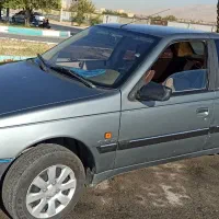 پژو ۴۰۵ دوگانه سوز
