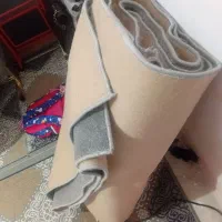 موکت پالاز|موکت|خرمآباد, |دیوار