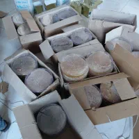 عسل سبد|خوردنی و آشامیدنی|باسمنج, |دیوار