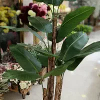 درختچه مصنوعی وگلهای مصنوعی|گل مصنوعی|قدس, شهرقدس|دیوار