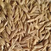 1500کیلو جو خارجی درجه 1