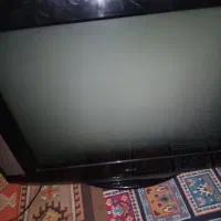 تلویزیون