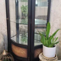 ویترین فوق تمیز و سالم