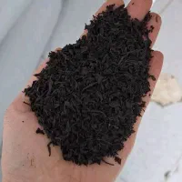 چای سرگل ممتاز بهاره گیلان ۱۴۰۴