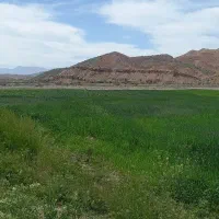 فروش-3هکتار-زمین-وباغ-با-موتور-آبی-8اینچ